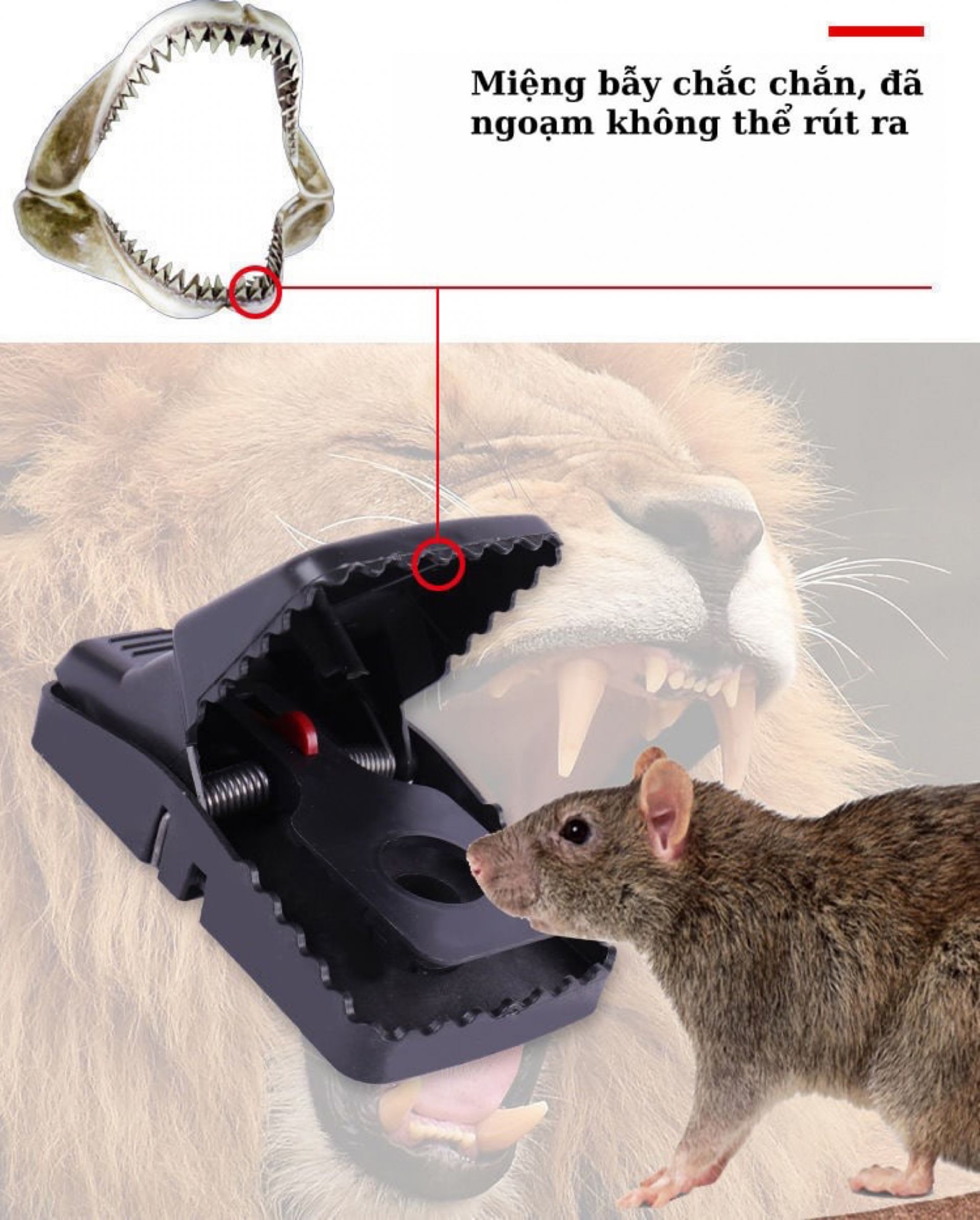 BẨY CHUỘT - BÁN TỪ 2 CÁI