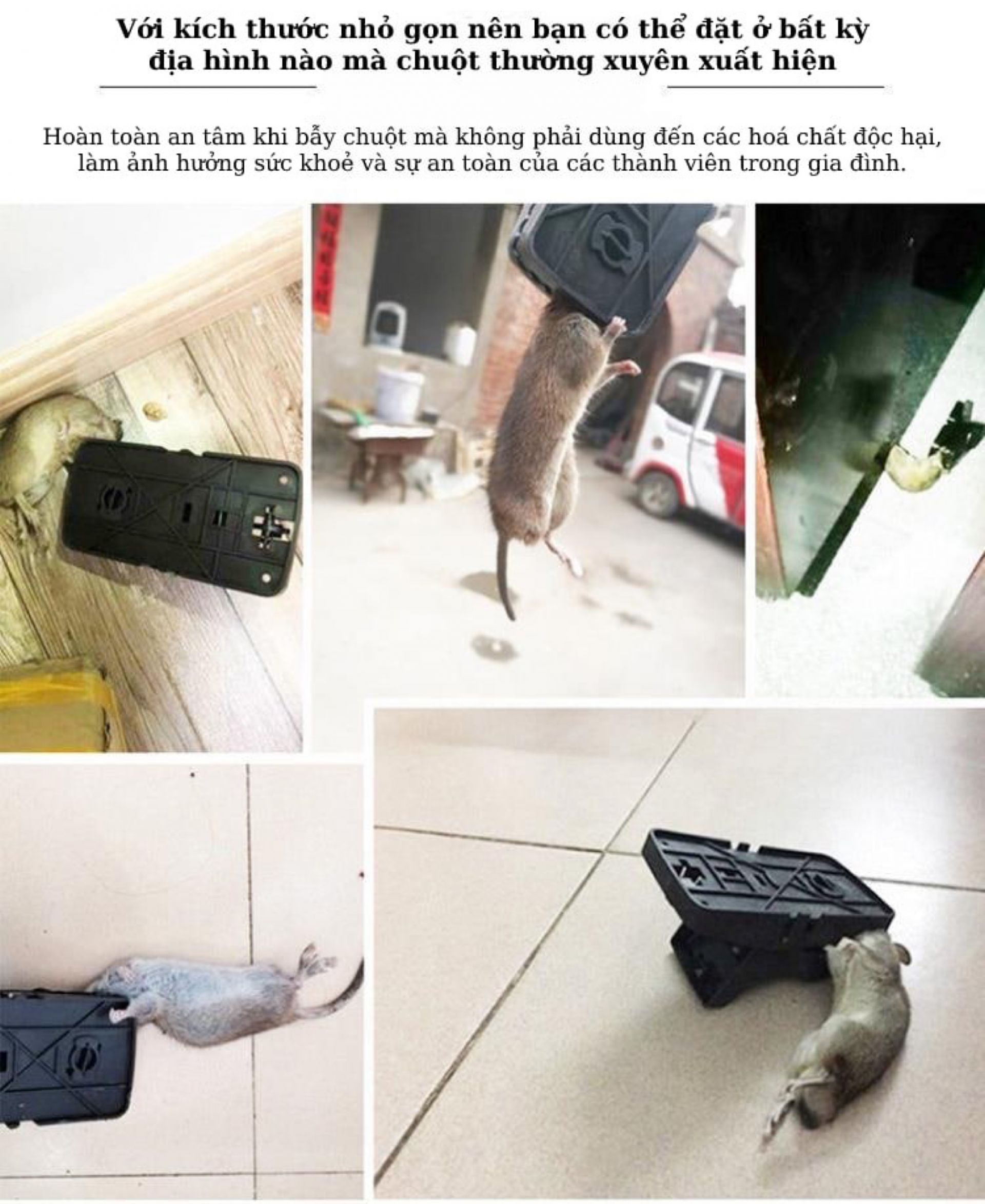 BẨY CHUỘT - BÁN TỪ 2 CÁI