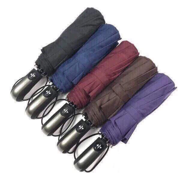 DÙ TỰ ĐỘNG GẤP