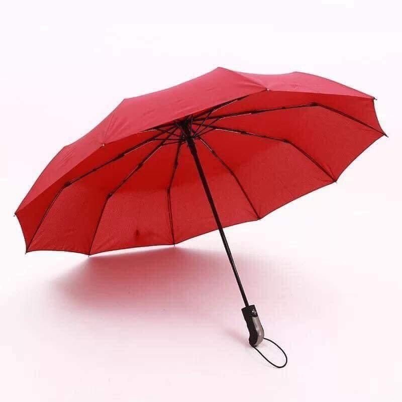 DÙ TỰ ĐỘNG GẤP