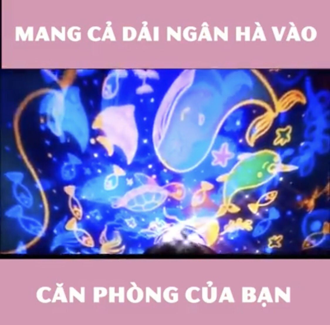 ĐÈN NGỦ NGÀN SAO