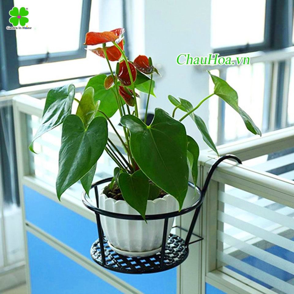 GIỎ HOA TREO BAN CÔNG - Bán Từ 3 cái