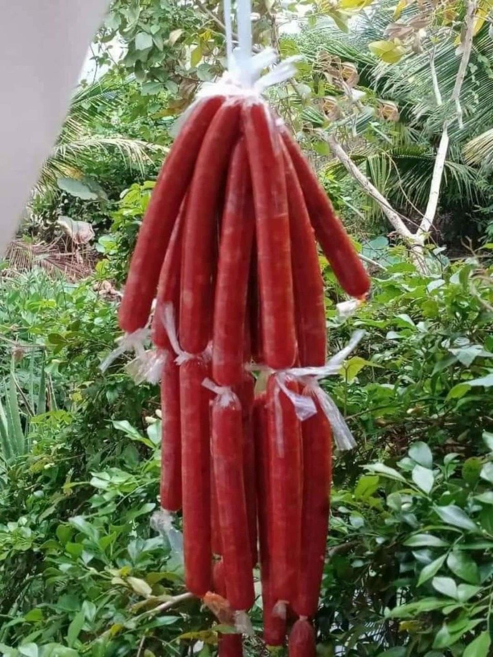 LẠP XƯỞNG THUẦN CHAY - 500GR