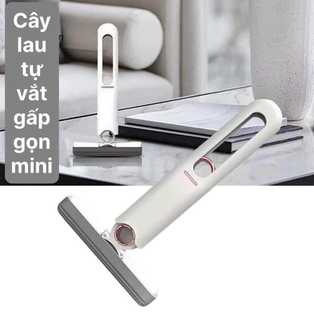 CÂY LAU MINI TỰ VẮT 