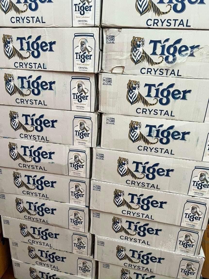 BIA TEGER BẠC THÁI