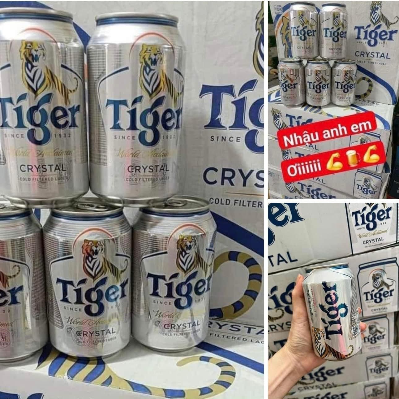 BIA TEGER BẠC THÁI