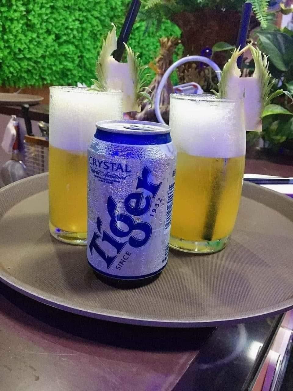 BIA TEGER BẠC THÁI