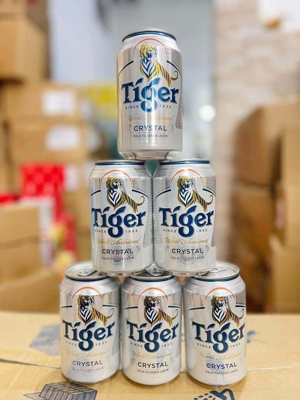 BIA TEGER BẠC THÁI