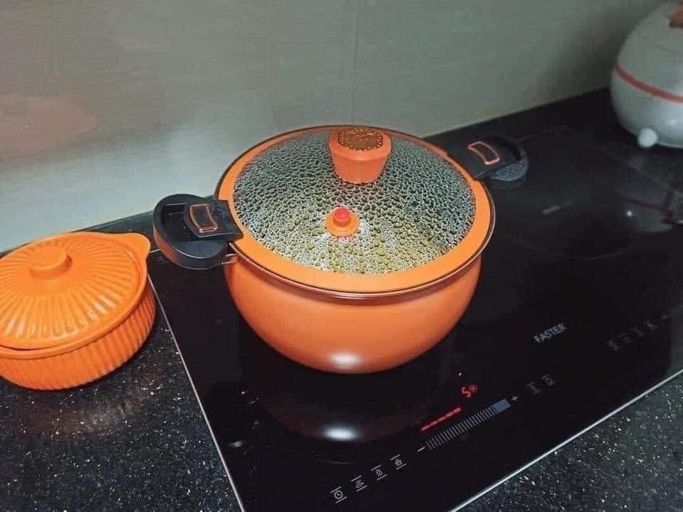 NỒI ÁP SUẤT BÍ NGÔ 5L