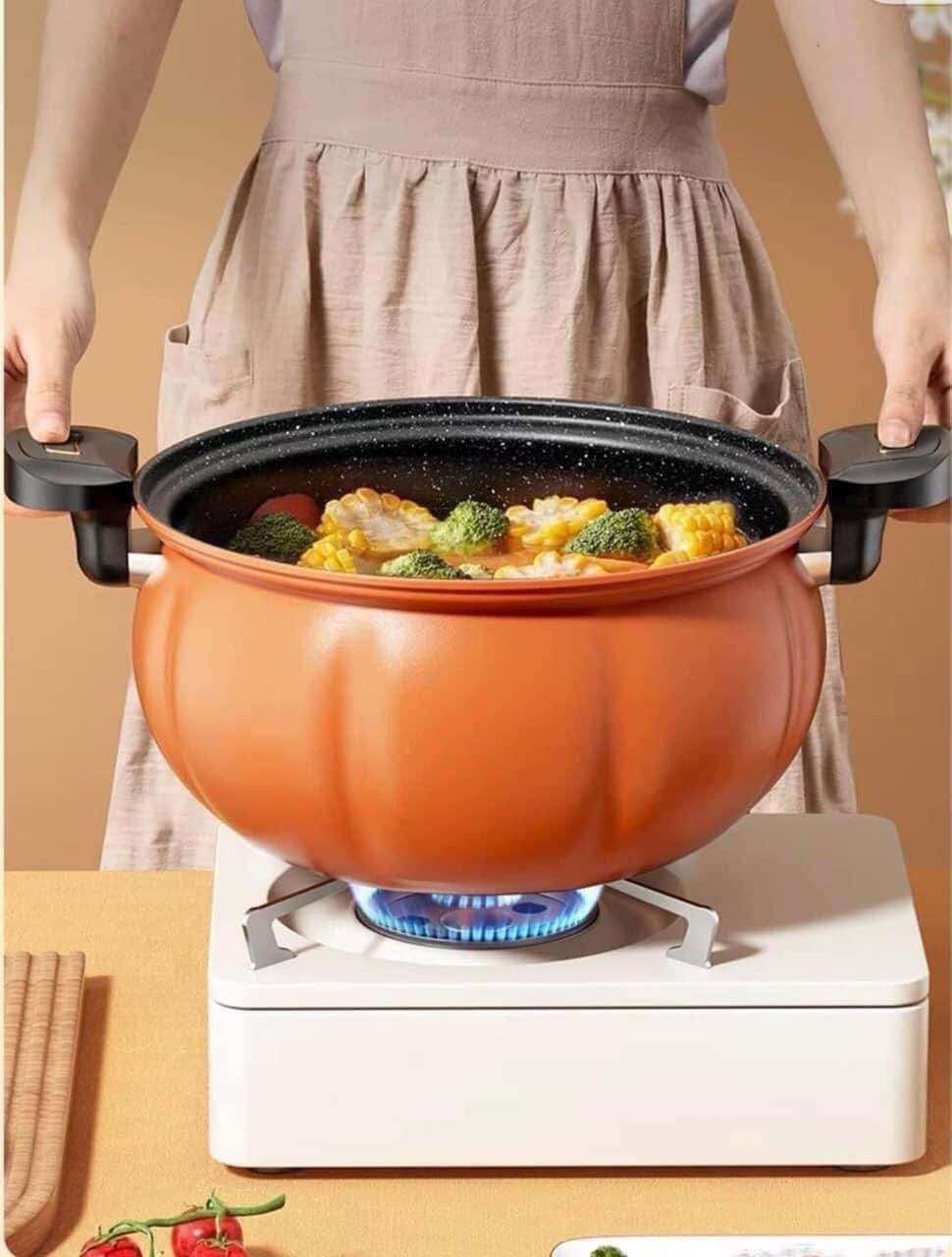 NỒI ÁP SUẤT BÍ NGÔ 5L