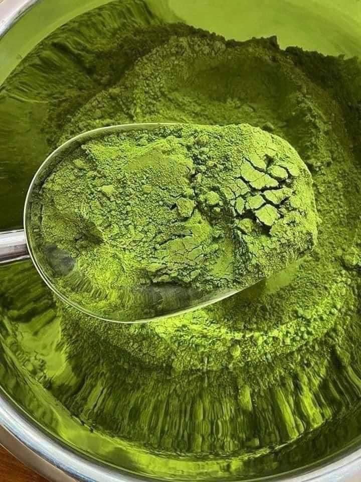 BỘT RAU MÁ  SẤY LẠNH - 500gr