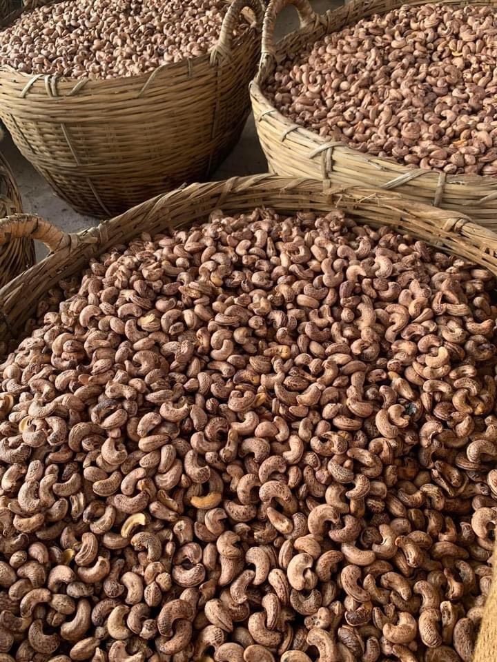 Hạt điều xếp hoa loại đẹp