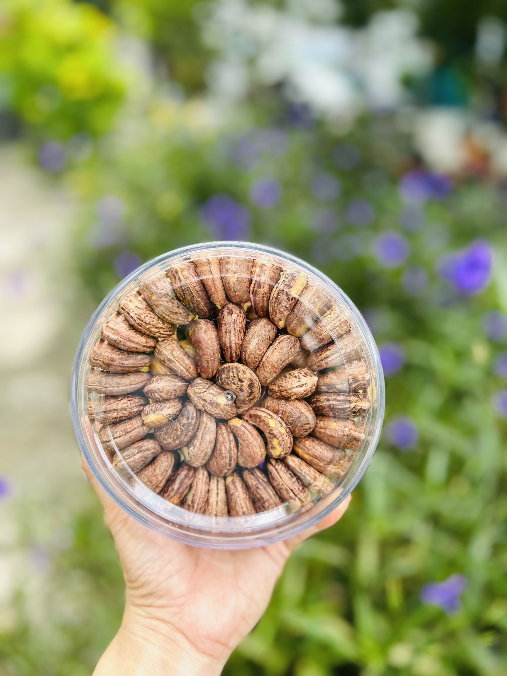 Hạt điều xếp hoa loại đẹp