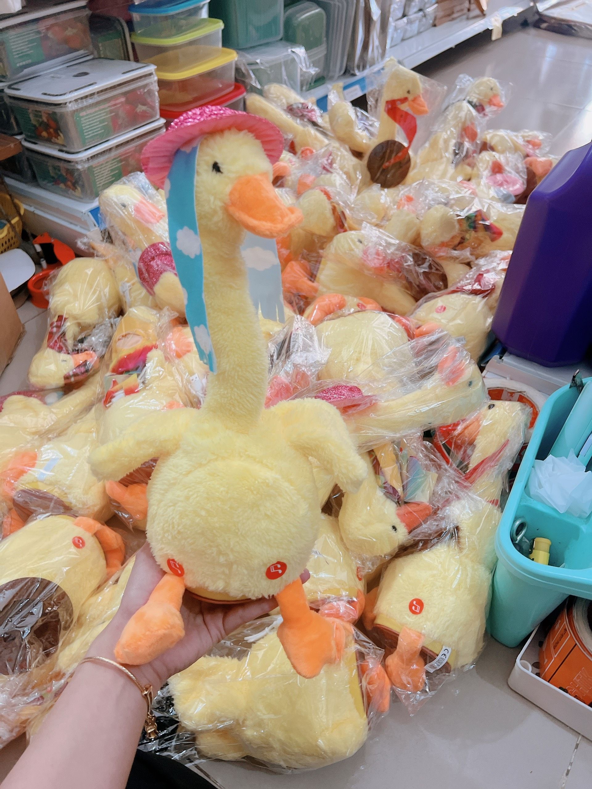 VỊT VÀNG NHẢY MÚA