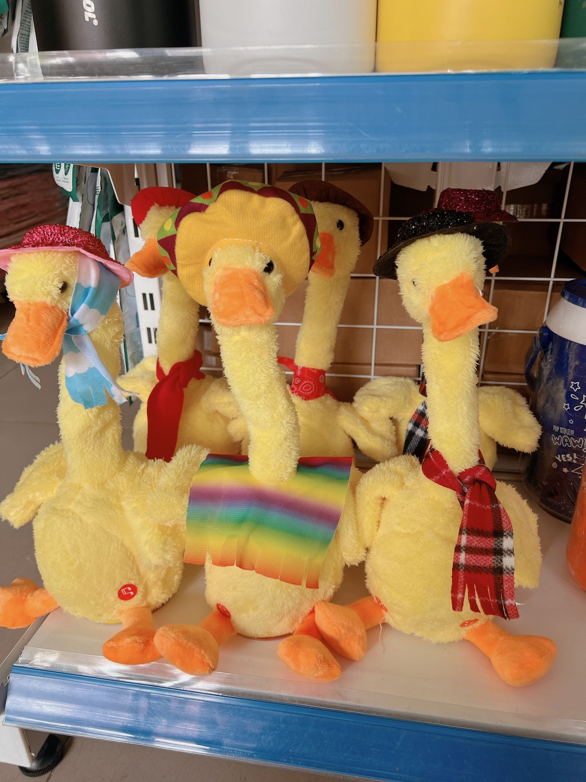 VỊT VÀNG NHẢY MÚA