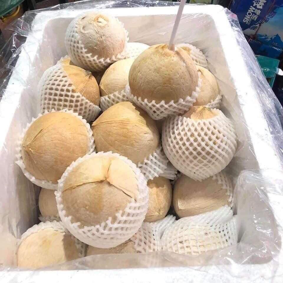 COMBO 10 QUẢ DỪA XIÊM 