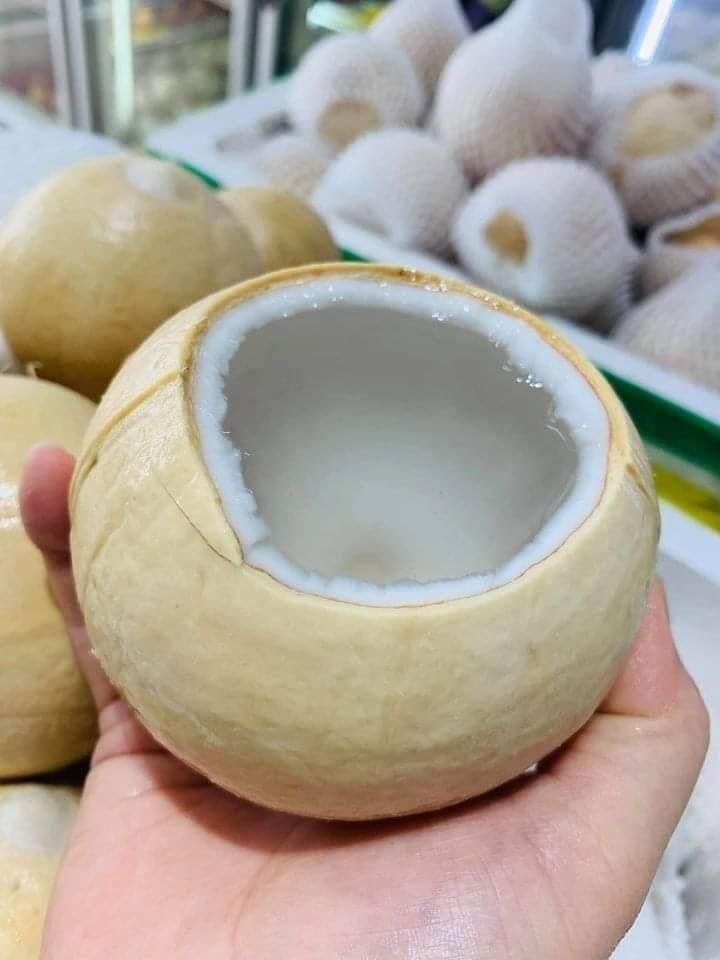 COMBO 10 QUẢ DỪA XIÊM 