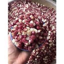 Bắp Bung Điện Biên - Túi 1kg