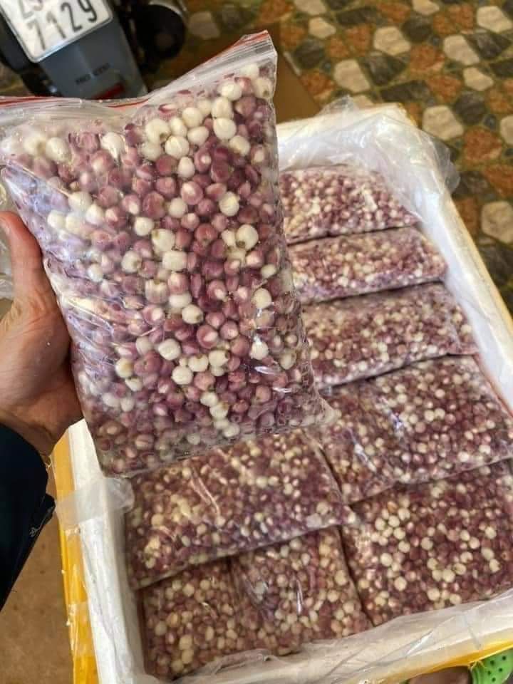 Bắp Bung Điện Biên - Túi 1kg