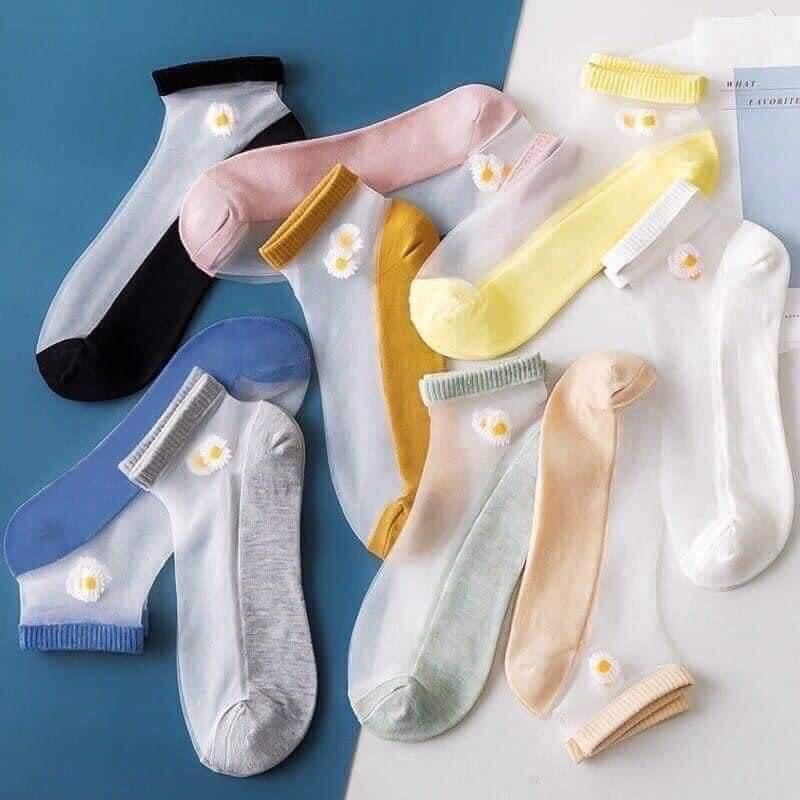 10 VỚ LƯỚI HOA CÚC