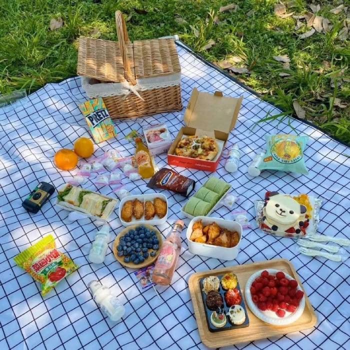 THẢM DÃ NGOẠI, DU LỊCH, PICNIC