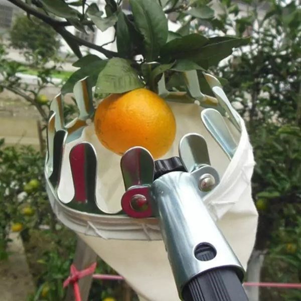 VỢT HÁI TRÁI CÂY