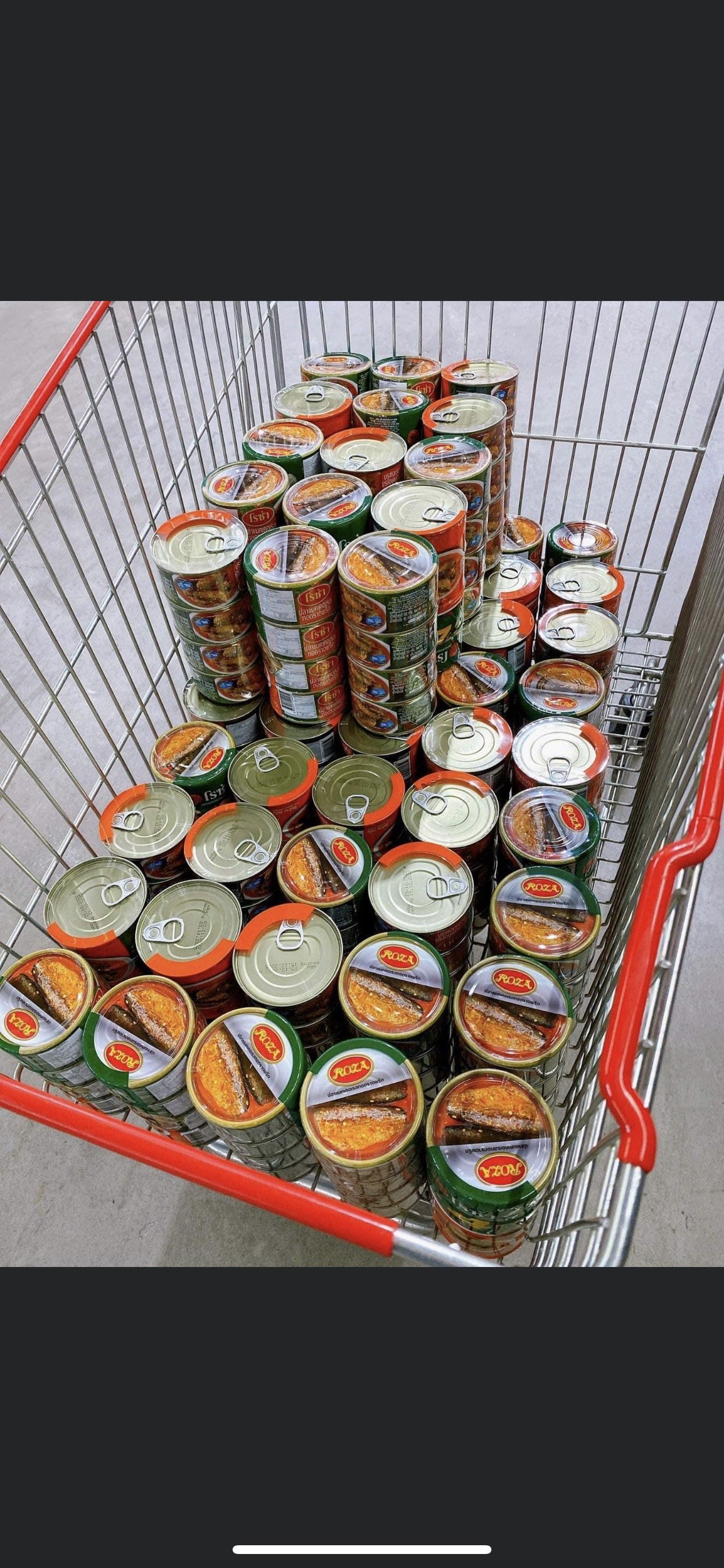 CÁ HỘP ROZA THÁI LAN LỐC 4 HỘP 