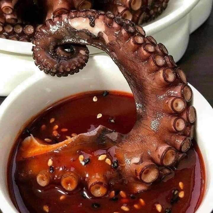 Râu Bạch Tuột Khổng Lồ -1KG