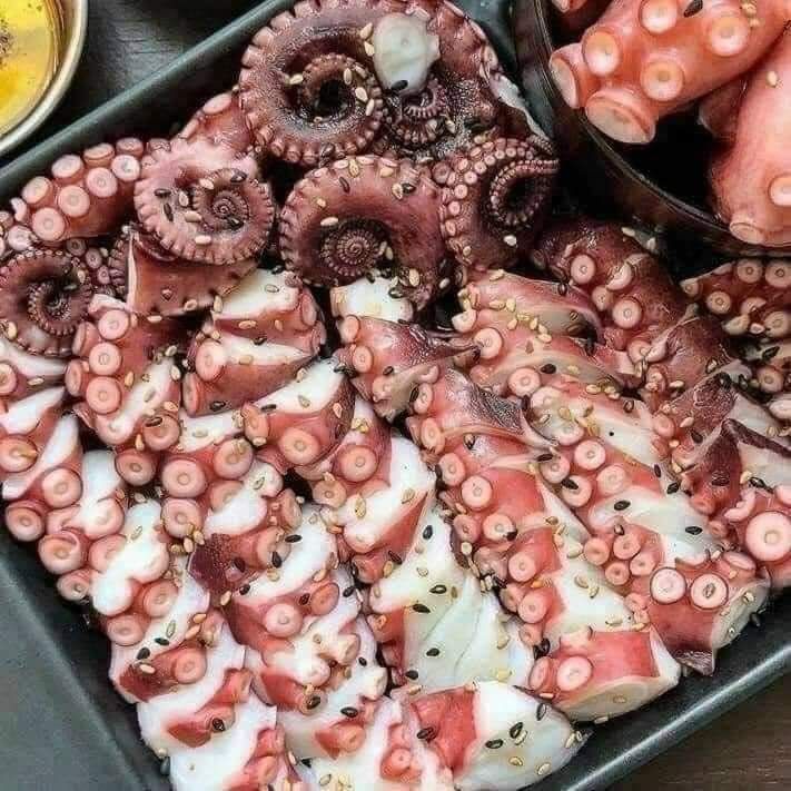 Râu Bạch Tuột Khổng Lồ -1KG