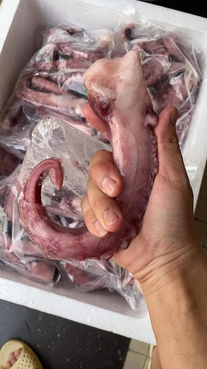 Râu Bạch Tuột Khổng Lồ -1KG