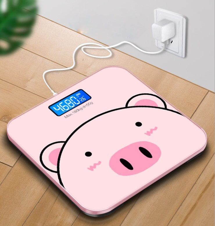 CÂN HEO HỒNG HÀO