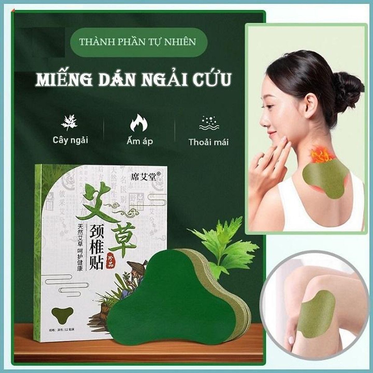  HỘP 12 MIẾNG CAO DÁN NGẢI CỨU - SET 3 HỘP 