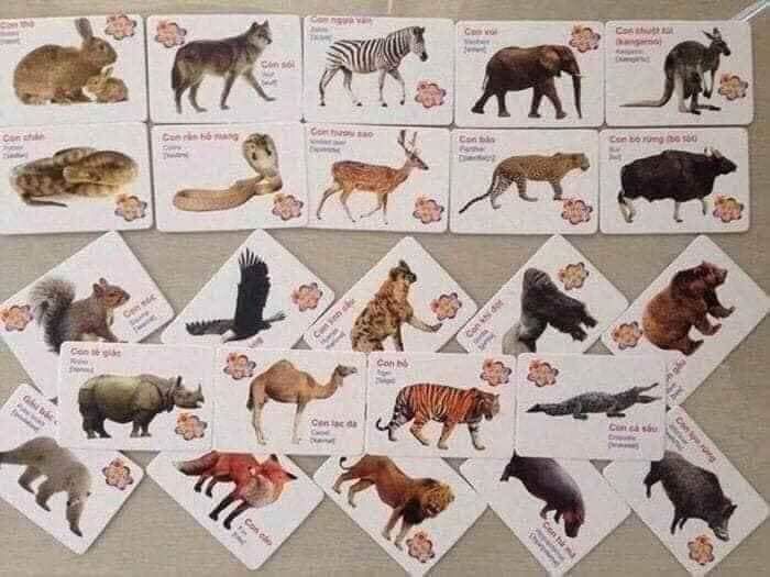 BỘ THẺ HỌC 16 CHỦ ĐỀ