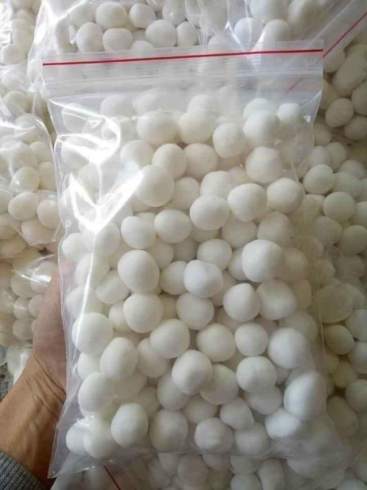 TRÂN CHÂU DỪA TRẮNG