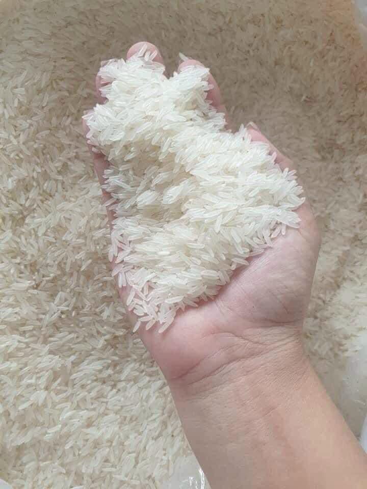 GẠO ST25 - BAO 10KG 