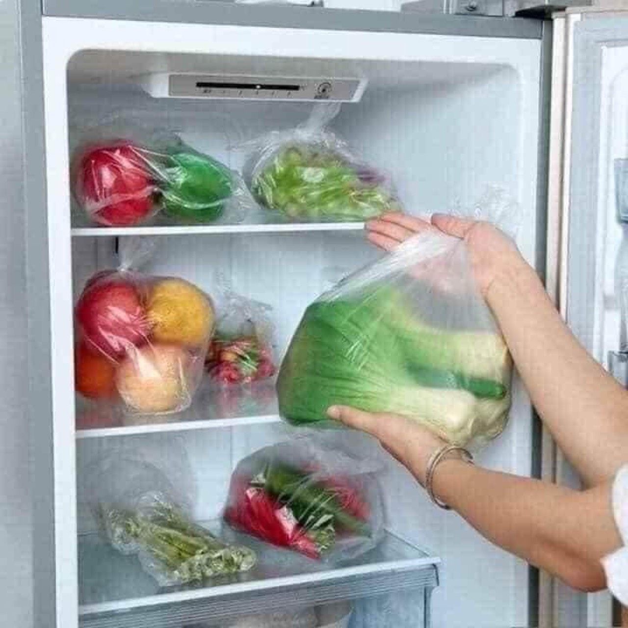 TÚI ĐỰNG THỰC PHẨM  SUNHOUSE - NHỎ