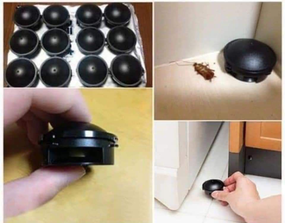 THUỐC DIỆT GIÁN NHẬT BẢN - HỘP 