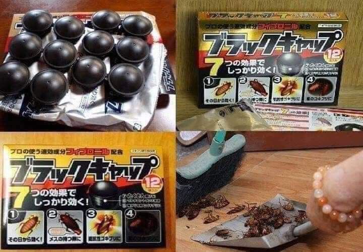 THUỐC DIỆT GIÁN NHẬT BẢN - HỘP 